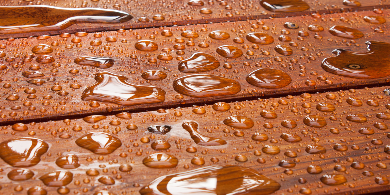 Wood and Specialty Coatings